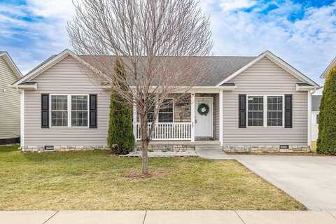 Dylan, BRIDGEWATER, VA 22812