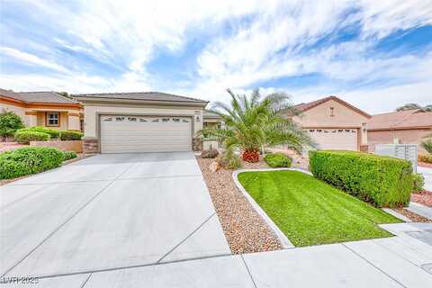 Cosmic Dust, HENDERSON, NV 89044