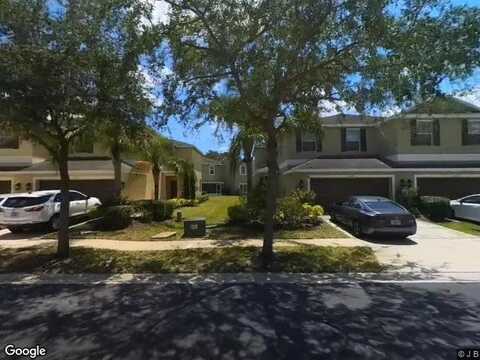 Indian Rosewood, TAMPA, FL 33647