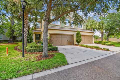 Vilesta, LUTZ, FL 33548