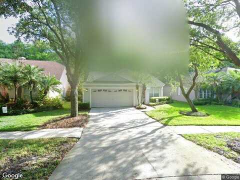 Springrose, TAMPA, FL 33626