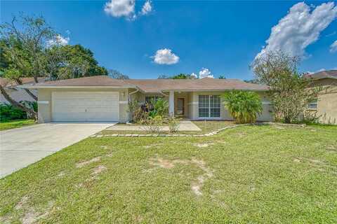Tarragon, RIVERVIEW, FL 33569