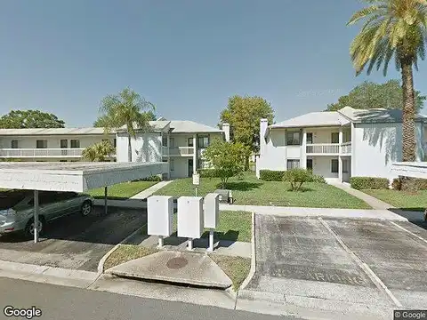 Nina, OLDSMAR, FL 34677