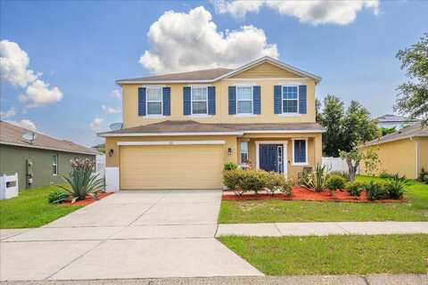 Prairie Falcon, GROVELAND, FL 34736
