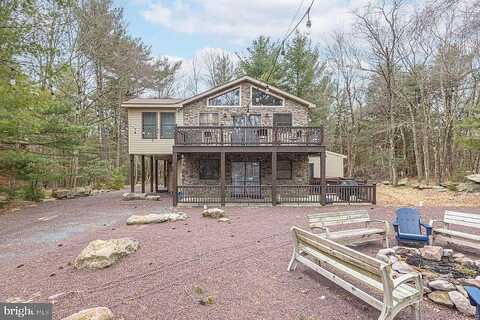 Lupine, LAKE HARMONY, PA 18624