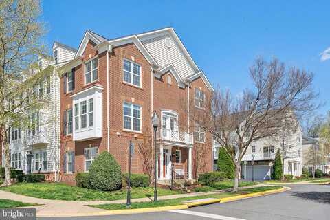 Ivy Stone, WOODBRIDGE, VA 22191