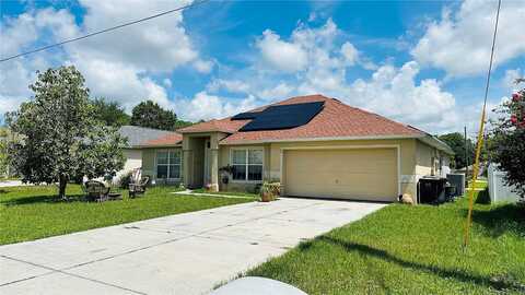 Sawfish, KISSIMMEE, FL 34759
