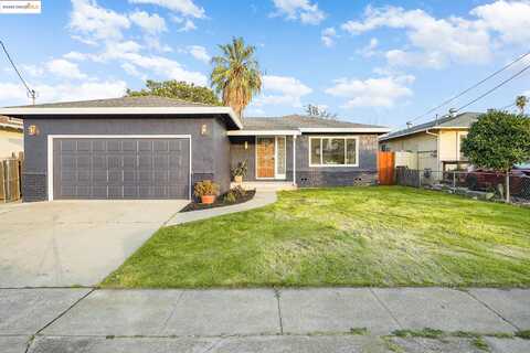 Tulip, ANTIOCH, CA 94509