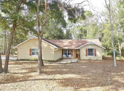 Blackwood, BEVERLY HILLS, FL 34465