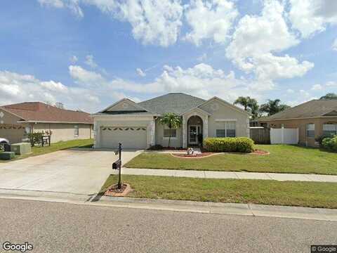 Swamp Rose, TRINITY, FL 34655