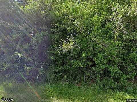 Se 136Th St, Summerfield, FL 34491