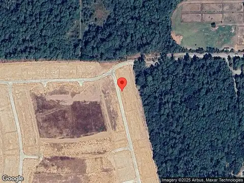 Jacaranda Blossom Way, Tomball, TX 77377