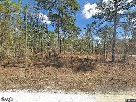 Canada Goose Rd, Brooksville, FL 34614