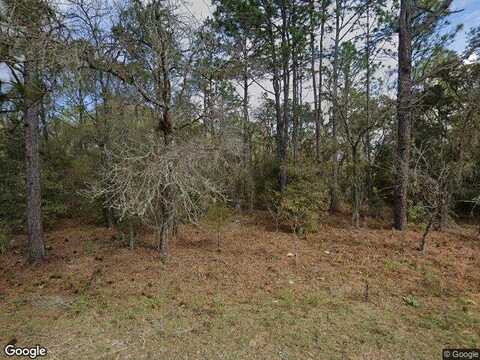 Sw 95Th Pl, Dunnellon, FL 34432
