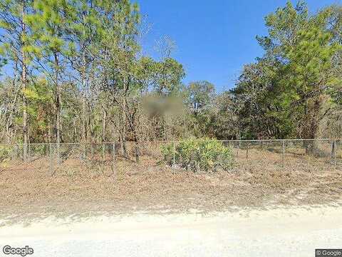 Mahoning Avenue, Brooksville, FL 34614