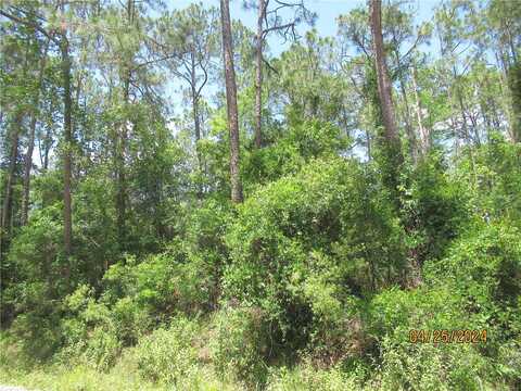 Sherwood, BUNNELL, FL 32110