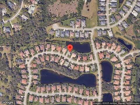Rock Dove, SARASOTA, FL 34241