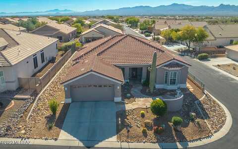 Leatherflower, MARANA, AZ 85658