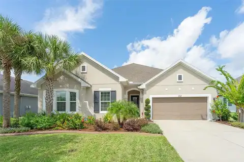 Tonka, WESLEY CHAPEL, FL 33543