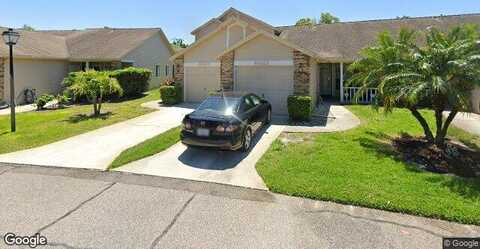 Thicket, NEW PORT RICHEY, FL 34653