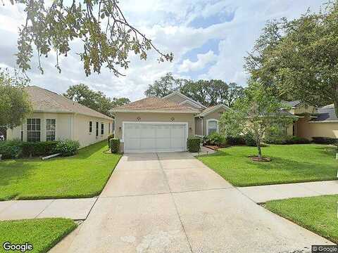 Loblolly Pine, NEW PORT RICHEY, FL 34654