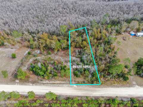 Dead Lakes Drive, Wewahitchka, FL 32465