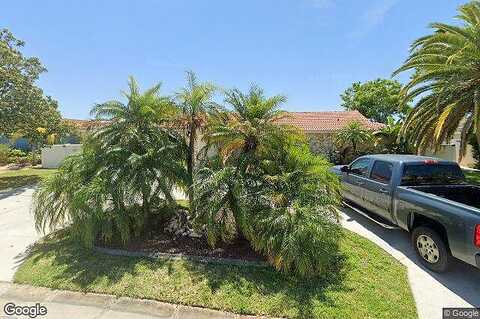 Porpoise, NEW PORT RICHEY, FL 34652