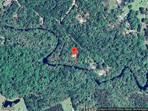 Lizard, SOPCHOPPY, FL 32358