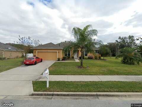 Elkhorn Fern, DELAND, FL 32720