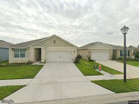 Iguana, DAVENPORT, FL 33897