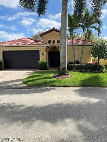 Axis Deer, FORT MYERS, FL 33966