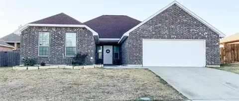 Windmill, SANGER, TX 76266