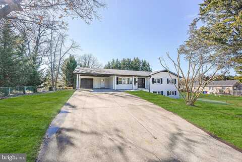 Red Pine, FALLS CHURCH, VA 22041