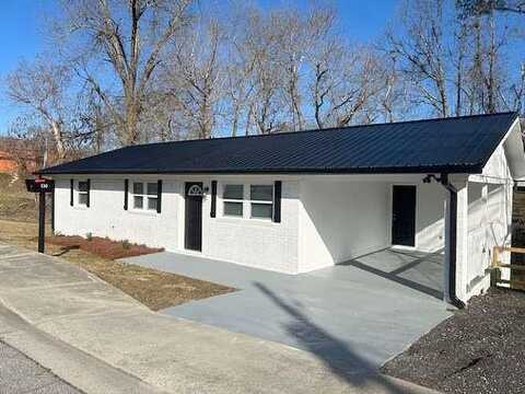 Martin Luther King Jr, TALLAPOOSA, GA 30176