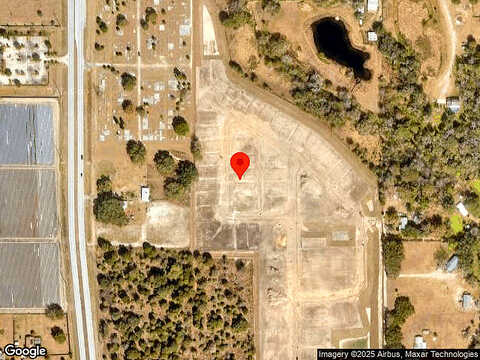 Currant, LAKELAND, FL 33811