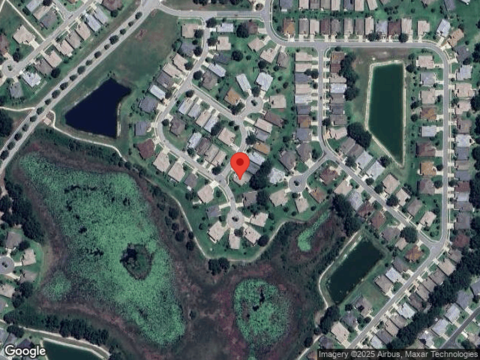 Woodland Moss, LEESBURG, FL 34748
