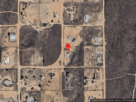 Ailanthus, PHELAN, CA 92371