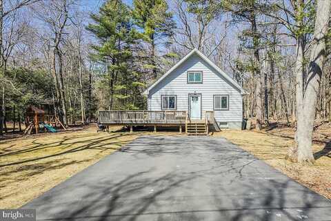 Junco, ALBRIGHTSVILLE, PA 18210