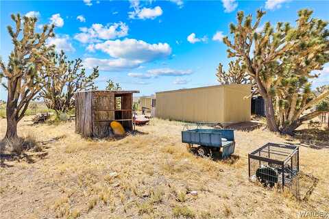 Peach, DOLAN SPRINGS, AZ 86441