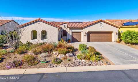 Amur, ORACLE, AZ 85623