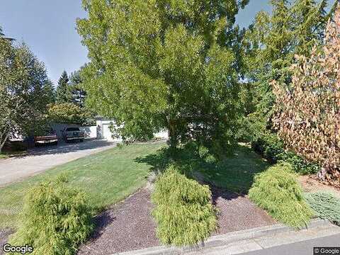 Aster, WINCHESTER, OR 97495
