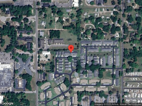 Eucalyptus, ZEPHYRHILLS, FL 33542