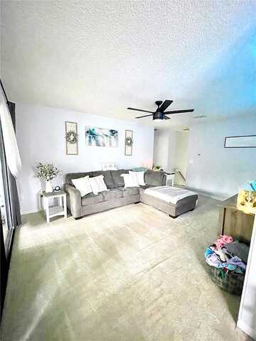 Masters, PALM COAST, FL 32137