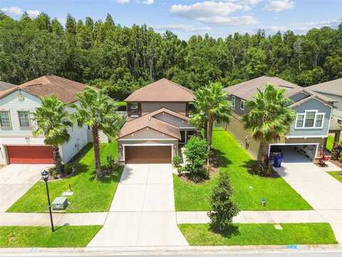 Ludington, WESLEY CHAPEL, FL 33543