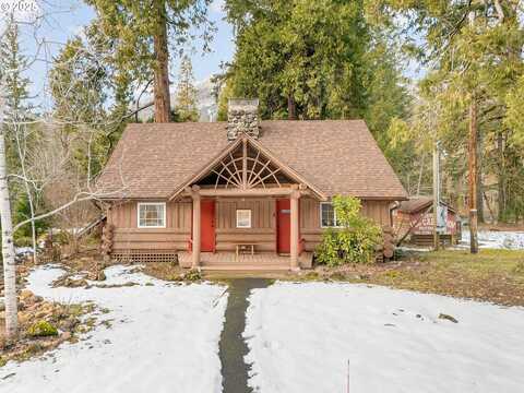 Mckenzie, MCKENZIE BRIDGE, OR 97413