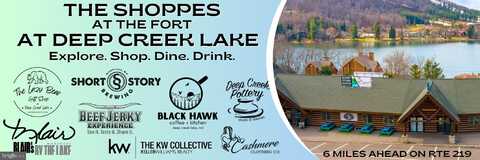 1550 DEEP CREEK DRIVE, MC HENRY, MD 21541