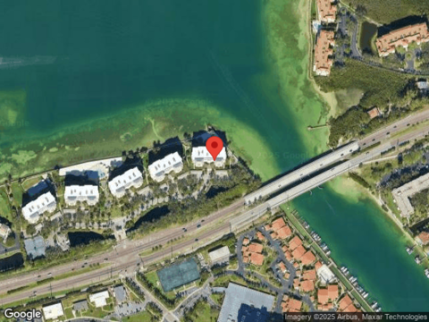 Bacopa, SAINT PETERSBURG, FL 33715