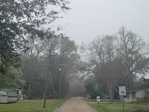 Magnolia, PEARL RIVER, LA 70452