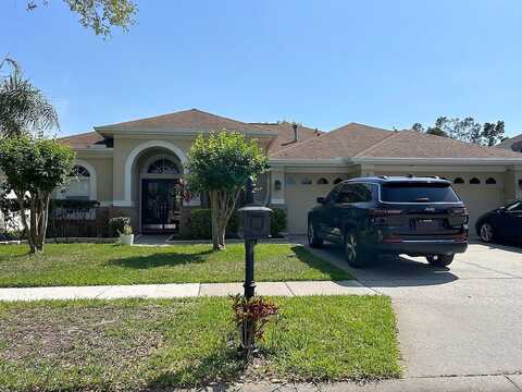 Rochester, TAMPA, FL 33626