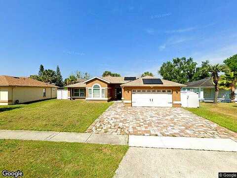 Wood Violet, ORLANDO, FL 32824